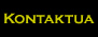 Kontaktua