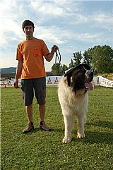 Ampliar foto