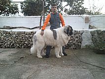 Ampliar foto