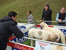 Ampliar foto